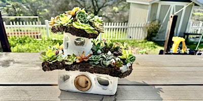 Immagine principale di What The Succ! Fairy House Succulent Arrangement 