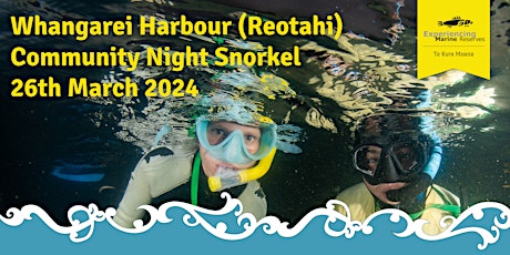 Whangarei Harbour Night Snorkel primary image