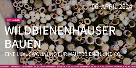 Wildbienenhäuser bauen – Eine Luxuswohnung für Mauerbienen und Co.