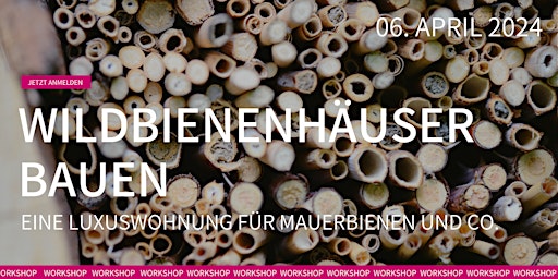 Hauptbild für Wildbienenhäuser bauen – Eine Luxuswohnung für Mauerbienen und Co.