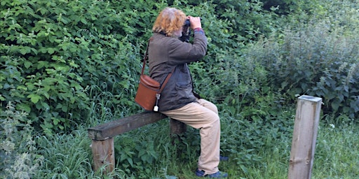 Primaire afbeelding van A Guided Walk of Hounslow Heath