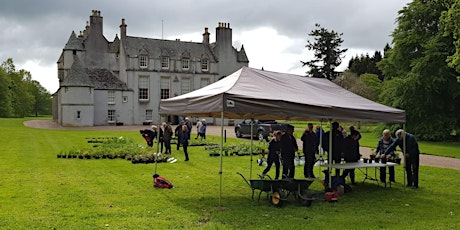 Leith Hall plant sale