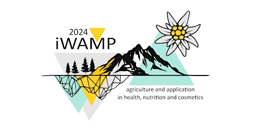 iWAMP 2024 primary image