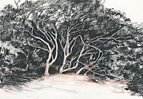 Immagine principale di Drawing Trees with Jake Spicer (Online) 