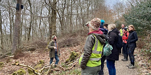 Hauptbild für The History of Devichoys Wood - Walk and Talk with live archeology