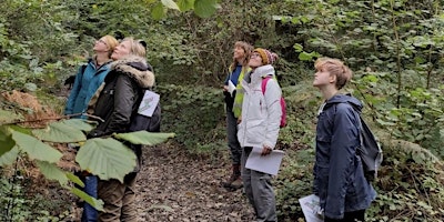 Imagem principal de 'Working Woodlands' - A Tour & Talk