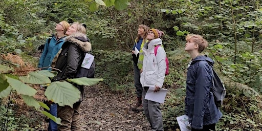 Primaire afbeelding van 'Working Woodlands' - A Tour & Talk