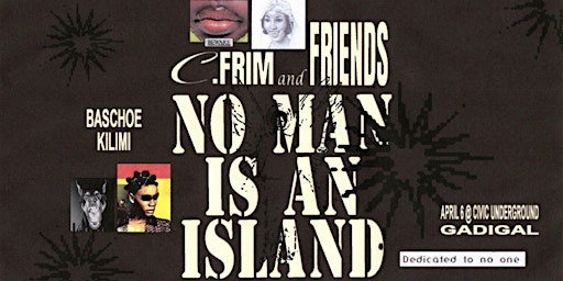 C.FRIM & FRIENDS (GADIGAL LAND) - CIVIC UNDERGROUND primary image