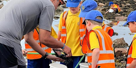 Easter Holidays  - Rockpool Ramble primary image