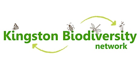 Kingston Biodiversity Network Meeting