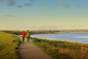 Imagem principal do evento Dusk Flight: Walk up Wardlaw, Co-hosted by WWT and NatureScot