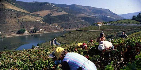 Dunbar Charity Wine Event - Port and The Douro Valley