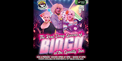 Imagem principal do evento Drag Queen Bingo