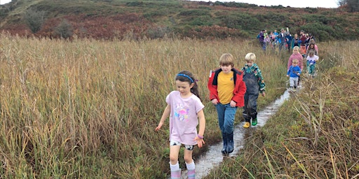 Half term wildlife fun at Cors Goch, Anglesey