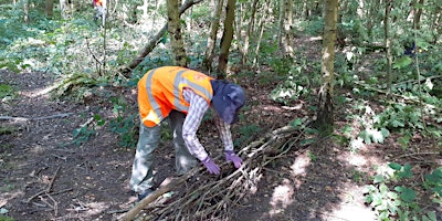 Soar Natural Flood Management Volunteering at Beacon Hill Country Park primary image