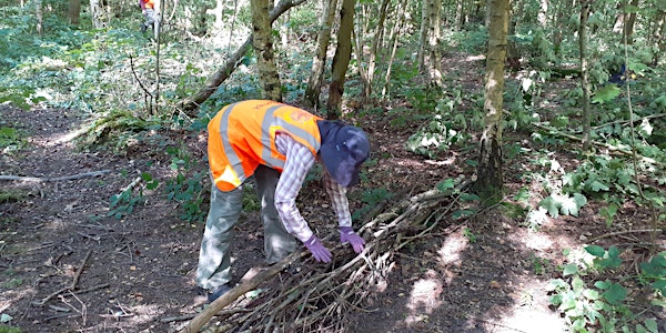 Soar Natural Flood Management Volunteering at Beacon Hill Country Park
