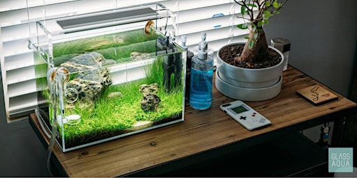 Imagem principal de Benson's Fish Room Nano Freshwater Aquarium Seminar