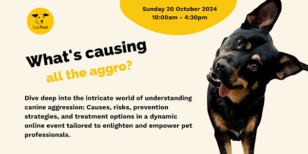 What’s Causing all the Aggro – A deep dive into canine aggression