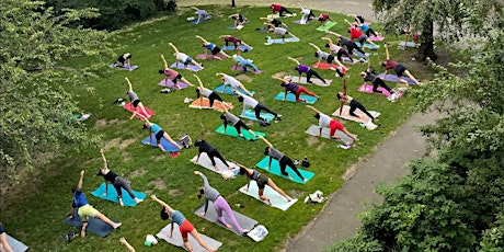 Sunset Yoga with Stacey Linden 2024