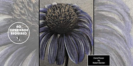 Charcoal Drawing Event "Cone Flower" in Jefferson