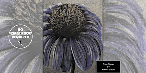 Charcoal Drawing Event "Cone Flower" in Jefferson primary image