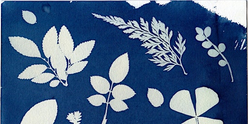 Immagine principale di Botanical Blueprints: Cyanotype Workshop for Ages 12+ 
