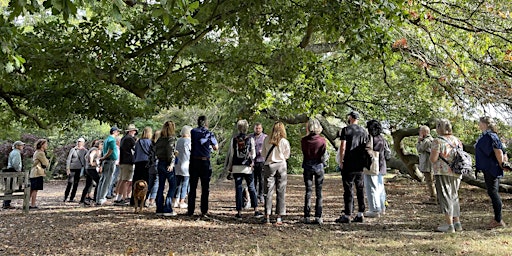 Imagem principal do evento Guided Tree Walk: Cannizaro's Champion Trees & more