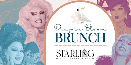 Drag in Bloom Brunch at Starling primary image