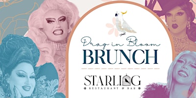 Primaire afbeelding van Drag in Bloom Brunch at Starling