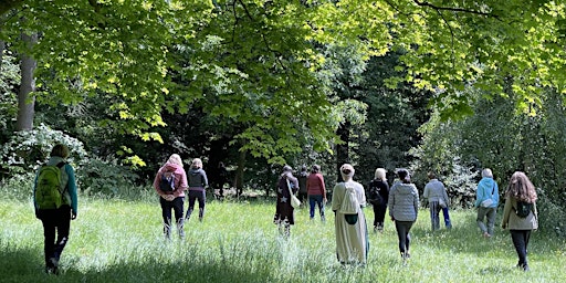 Primaire afbeelding van Forest Bathing