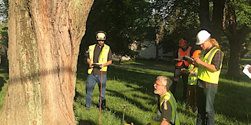 Hauptbild für ISA Tree Risk Assessment Qualification Renewal Course: 5/17/2024  (One day)