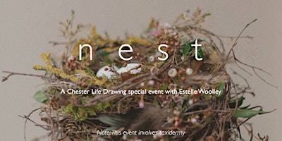 Imagen principal de NEST - A Chester Life Drawing Special!