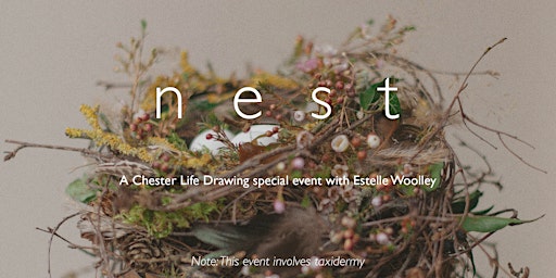 NEST - A Chester Life Drawing Special! primary image