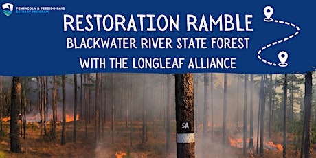 Restoration Ramble: Prescribed Fire in Blackwater River State Forest primary image