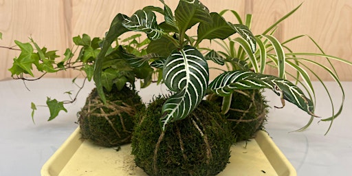 Kokedama Workshop - NYC  primärbild