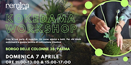 Kokedama Corso 7 Aprile a PARMA