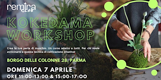 Hauptbild für Kokedama Corso 7 Aprile a PARMA