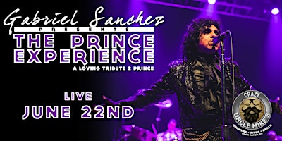 The Prince Experience primary image