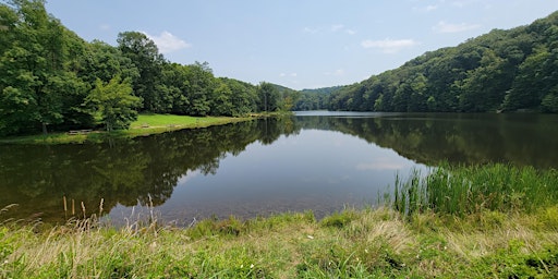 Imagem principal de Spring Wildflower Foray: Creek Walk