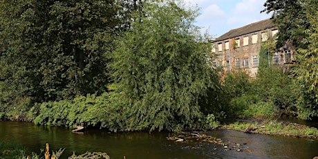 Mindful River Walk