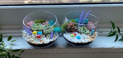 Succulent Terrarium Workshop in NYC primary image