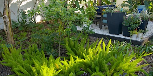 Hauptbild für Florida-Friendly Landscaping™: Growing Your Water-Wise Garden