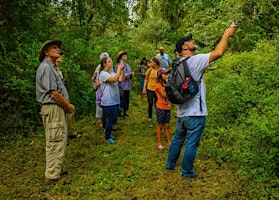 Primaire afbeelding van Phenology Project: Protocols Training