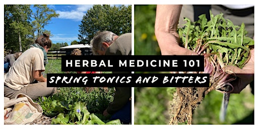 Herbal Medicine 101: Spring Tonics and Bitters primary image