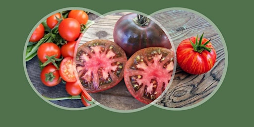 Primaire afbeelding van Tomato Class
