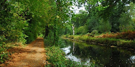 Wellesley Woodlands Canal Wildlife Walk primary image
