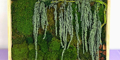Image principale de Moss Wall Art DIY in NYC