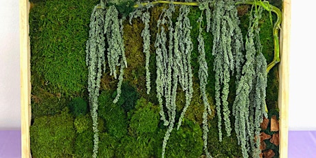 Moss Wall Art DIY in NYC