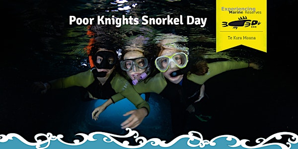 Poor Knights Snorkel Day