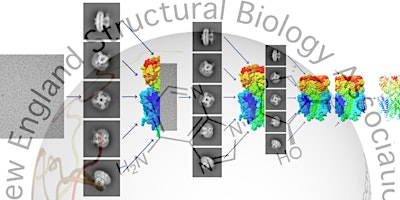 Primaire afbeelding van New England Structural Biology CryoEM mini symposia